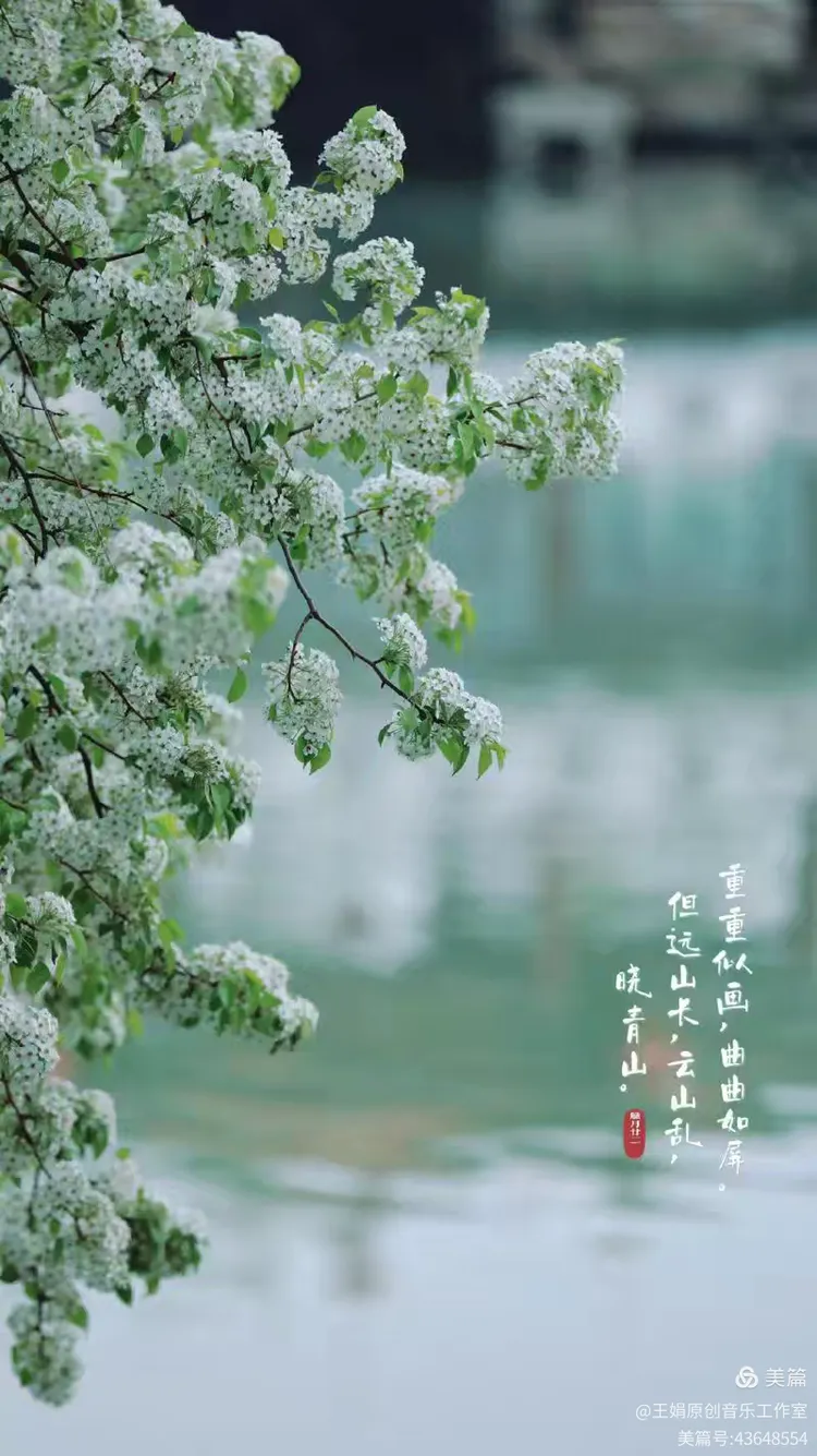 春雨绵绵